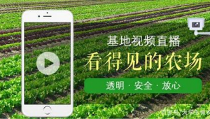 农业自媒体-网友赵德柱的博客