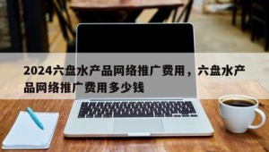六盘水市网络推广