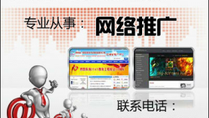 网络推广公司 湖北-网友赵德柱的博客