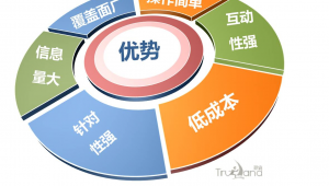 苏州网络推广优化-网友赵德柱的博客