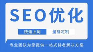 西安网络推广seo-网友赵德柱的博客