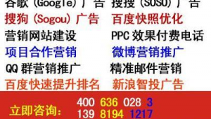 成都网络推广公司-网友赵德柱的博客