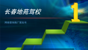 长春做网络推广的公司-网友赵德柱的博客