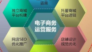 电子商务网络推广企业-网友赵德柱的博客