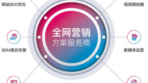 深圳网络推广运营方案-网友赵德柱的博客