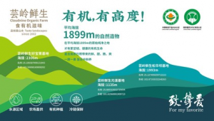 城市形象网络推广-网友赵德柱的博客