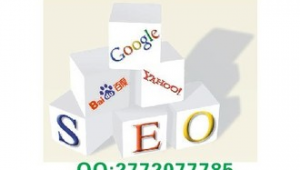 昆明网络推广外包-网友赵德柱的博客