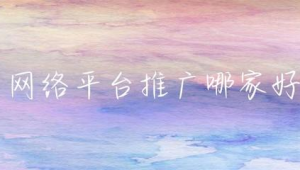 哪家网络推广比较好-网友赵德柱的博客