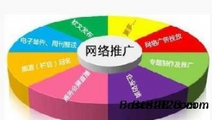 网络推广速成-网友赵德柱的博客