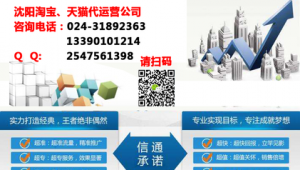 沈阳网络推广外包招商-网友赵德柱的博客