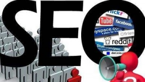 网络推广还是seo-网友赵德柱的博客