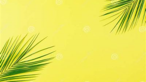 网络推广广告怎么做-网友赵德柱的博客