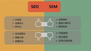 网络推广sem与seo 排名