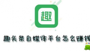 自媒体多发平台-网友赵德柱的博客