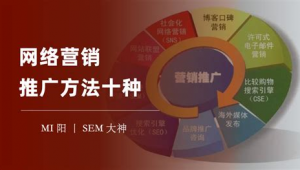 网络推广100种方式-网友赵德柱的博客