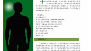 鹰潭市网络推广