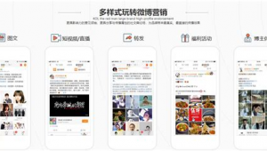 博文网络推广效果-网友赵德柱的博客