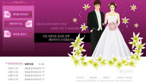 婚纱影楼网络推广-网友赵德柱的博客