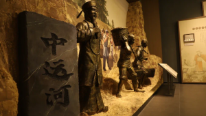 龙王网络科技推广