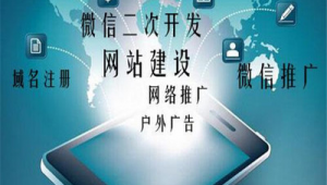 具前景的网络广告推广-网友赵德柱的博客