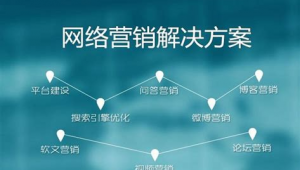 网络推广的概念和分类-网友赵德柱的博客