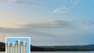 网络公司网络推广推荐-网友赵德柱的博客