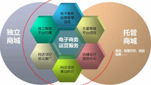 四川专业网络推广托管-网友赵德柱的博客