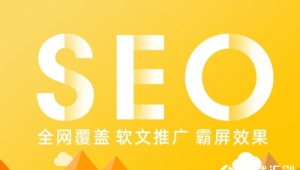 广元市SEO
