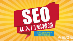 台州seo网络推广-网友赵德柱的博客