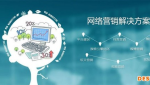 如何做网络推广策划-网友赵德柱的博客