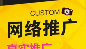 揭阳市网络推广