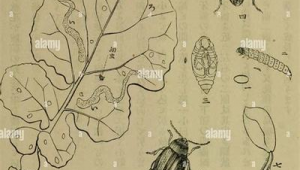 企业网络营销推广案例-网友赵德柱的博客