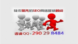 广州网络seo推广排名-网友赵德柱的博客