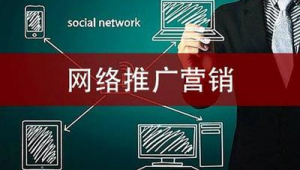 网络推广营销专家-网友赵德柱的博客