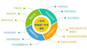 网络推广外包效果-网友赵德柱的博客