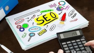 新手应聘网络推广-网友赵德柱的博客