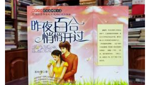 太原网络小说项目推广-网友赵德柱的博客