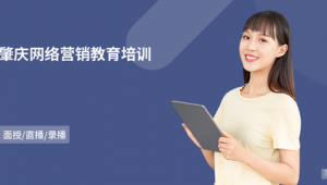 肇庆网络推广seo服务-网友赵德柱的博客