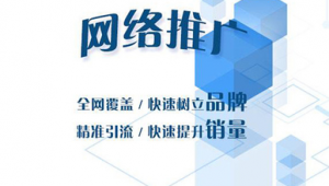 网络推广补效果-网友赵德柱的博客