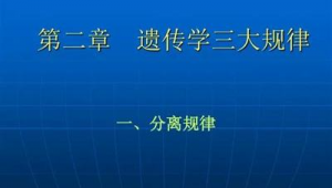 seo优化员和网络推广员-网友赵德柱的博客