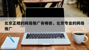 北京网络推广推荐咨询-网友赵德柱的博客