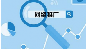 什么叫网络推广啊-网友赵德柱的博客