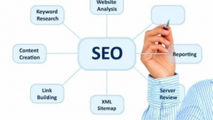 天津网络seo推广-网友赵德柱的博客