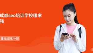 成都网络推广培训学校