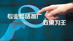 兴化网络推广-网友赵德柱的博客