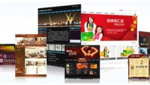 生态园网络推广方法