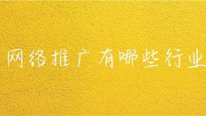 网络推广就是网站推广-网友赵德柱的博客