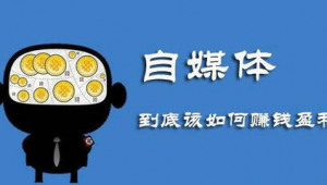 有哪些自媒体可以挣钱-网友赵德柱的博客