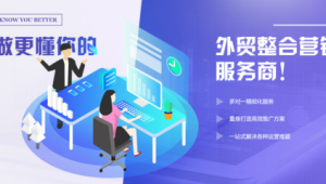 外贸网络营销营销推广-网友赵德柱的博客