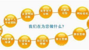 番禺seo优化网络推广-网友赵德柱的博客